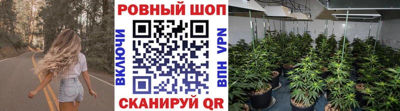 Купить наркоту Балахна АМФЕТАМИН  Кокаин  Псилоцибиновые грибы  Меф мяу мяу  Конопля  ГАШ 