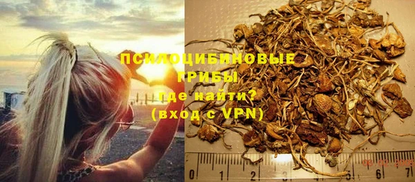 ешки Бородино