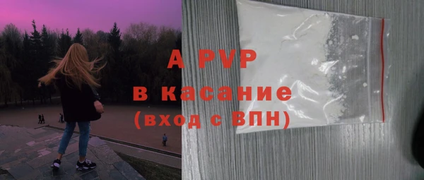 ешки Бородино