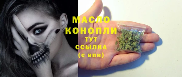 ешки Бородино