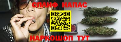 крисы Берёзовский