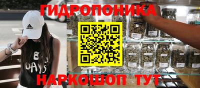 крисы Берёзовский