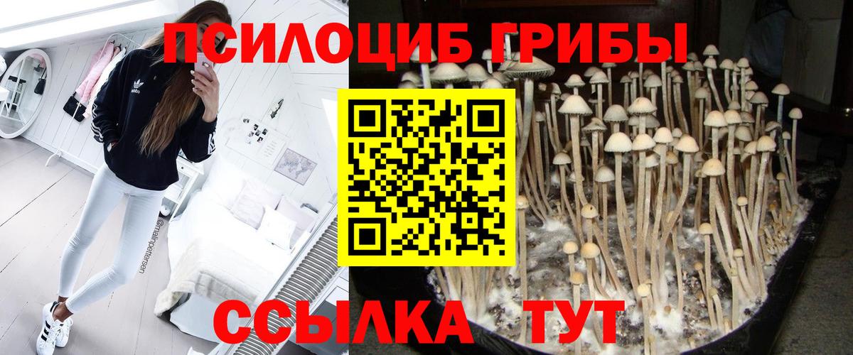 Галлюциногенные грибы GOLDEN TEACHER  Псилоцибиновые грибы MAGIC MUSHROOMS  Балахна 