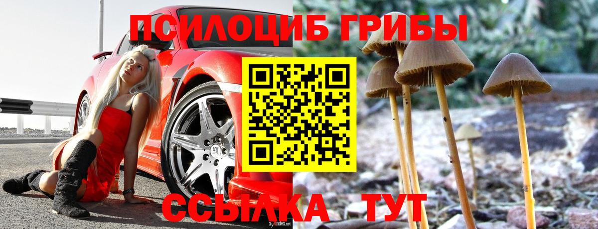 магазин продажи наркотиков  Галлюциногенные грибы Psilocybine cubensis  Балахна  Вход с VPN  Галлюциногенные грибы мухоморы 
